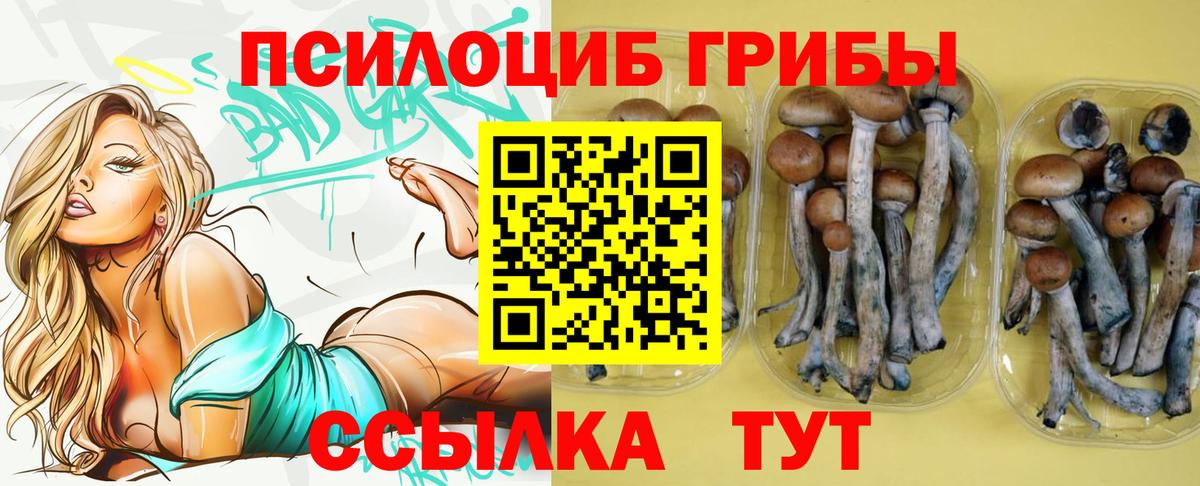 Тверь  Галлюциногенные грибы Cubensis  Вход с VPN  Галлюциногенные грибы ЛСД 