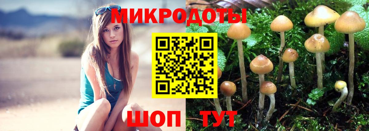 Псилоцибиновые грибы Magic Shrooms Тверь
